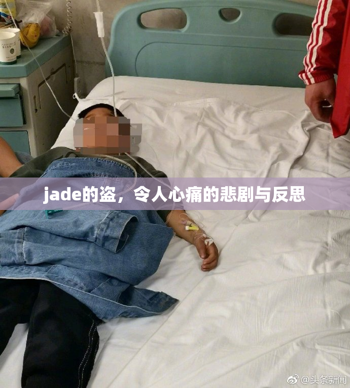 jade的盗，令人心痛的悲剧与反思