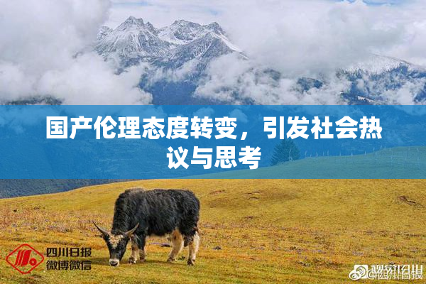 国产伦理态度转变，引发社会热议与思考