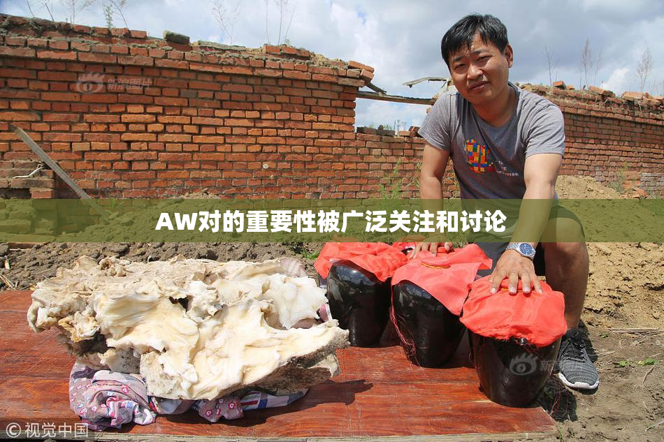 AW对的重要性被广泛关注和讨论
