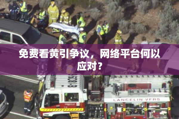 免费看黄引争议，网络平台何以应对？