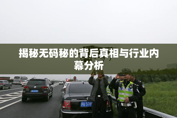 揭秘无码秘的背后真相与行业内幕分析