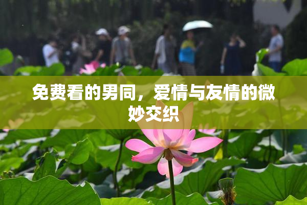 免费看的男同，爱情与友情的微妙交织