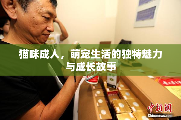 猫咪成人，萌宠生活的独特魅力与成长故事