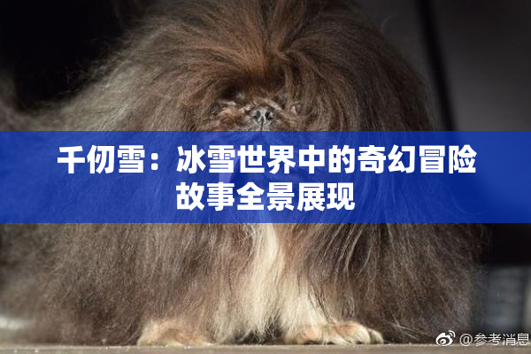 千仞雪：冰雪世界中的奇幻冒险故事全景展现