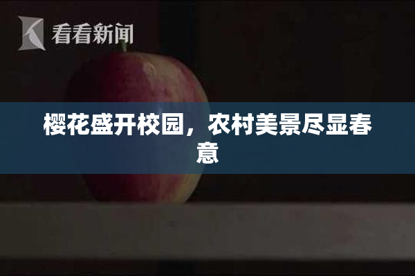 樱花盛开校园，农村美景尽显春意
