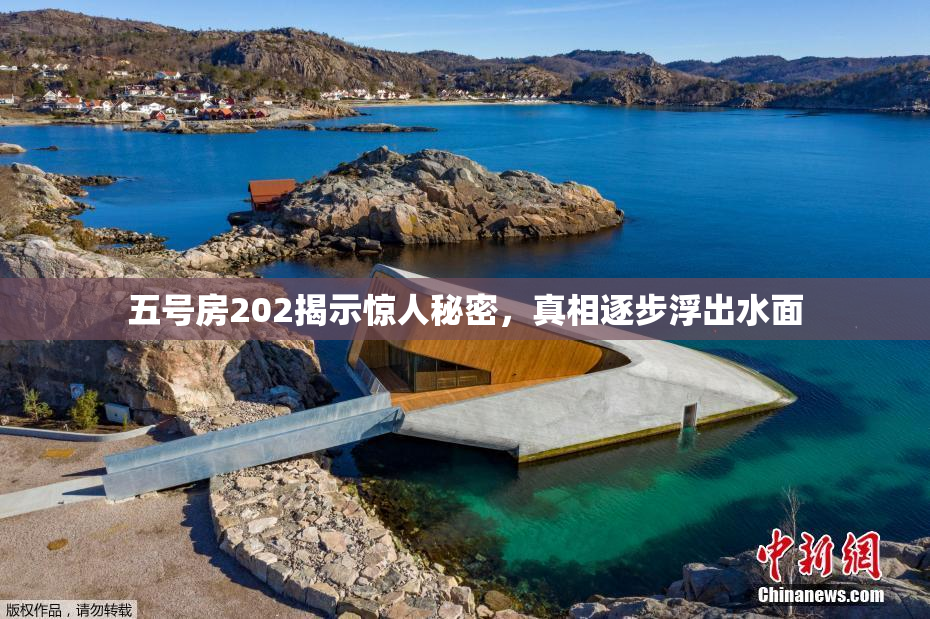 五号房202揭示惊人秘密，真相逐步浮出水面