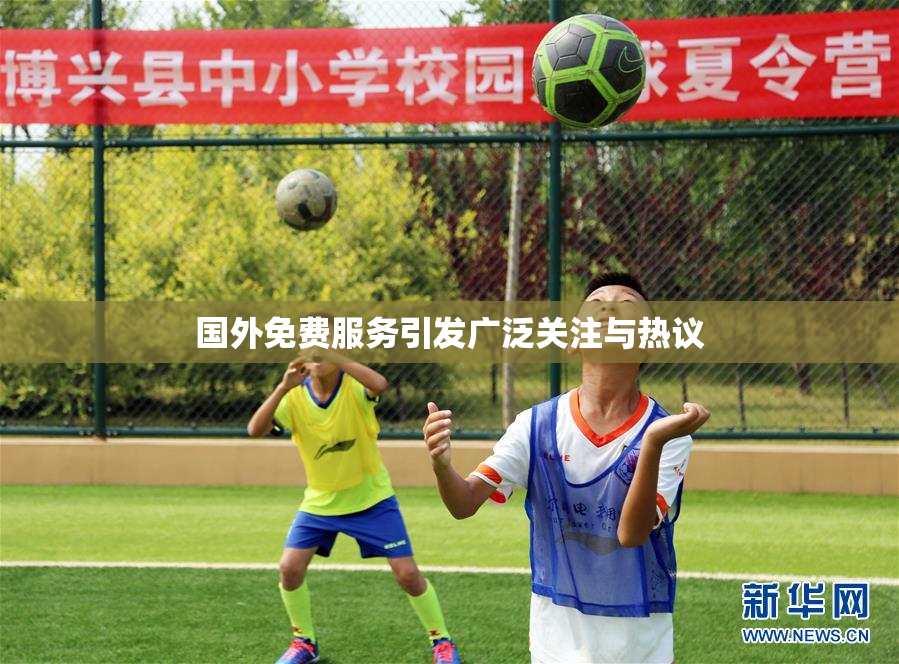 国外免费服务引发广泛关注与热议