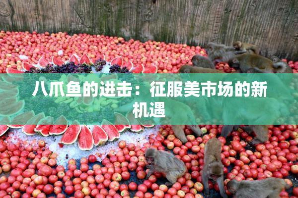 八爪鱼的进击：征服美市场的新机遇
