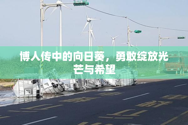 博人传中的向日葵，勇敢绽放光芒与希望