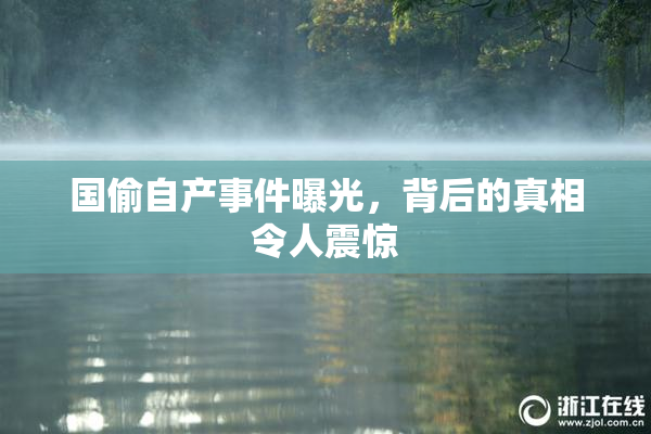 国偷自产事件曝光，背后的真相令人震惊