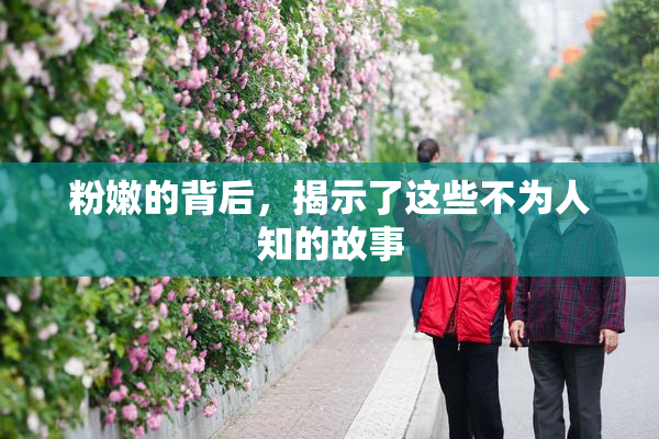 粉嫩的背后，揭示了这些不为人知的故事