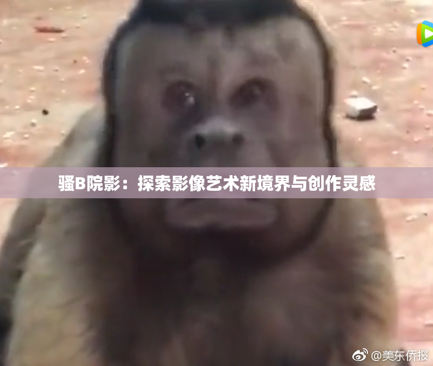 骚B院影：探索影像艺术新境界与创作灵感