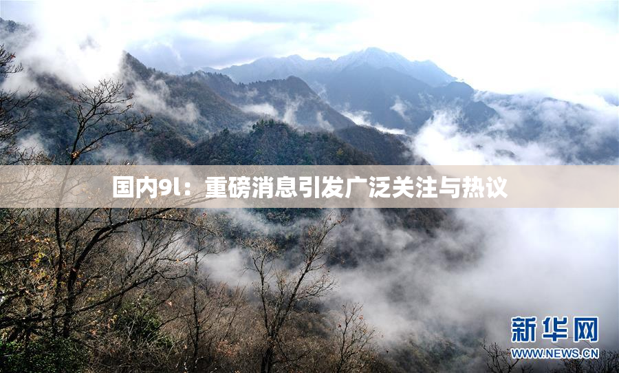 国内9l：重磅消息引发广泛关注与热议