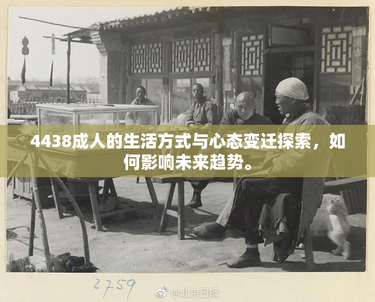 4438成人的生活方式与心态变迁探索，如何影响未来趋势。