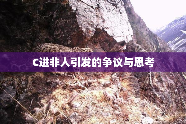 C进非人引发的争议与思考