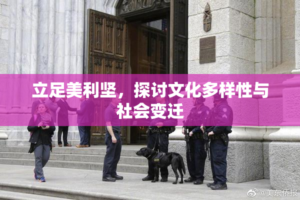 立足美利坚，探讨文化多样性与社会变迁