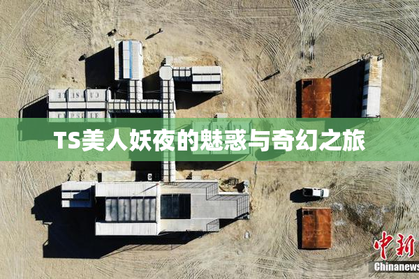 TS美人妖夜的魅惑与奇幻之旅