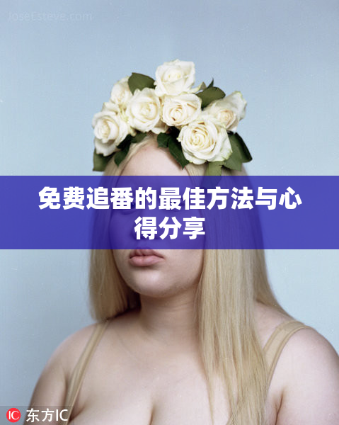免费追番的最佳方法与心得分享