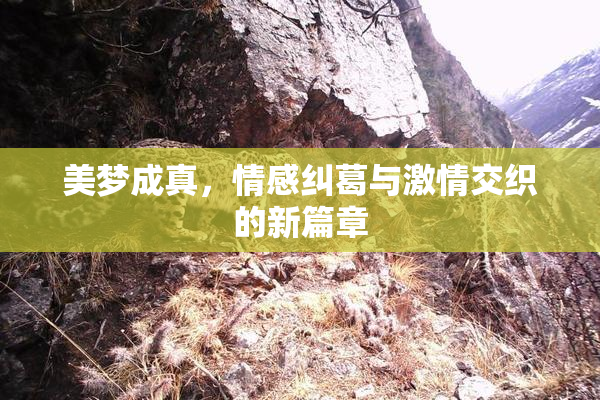美梦成真，情感纠葛与激情交织的新篇章