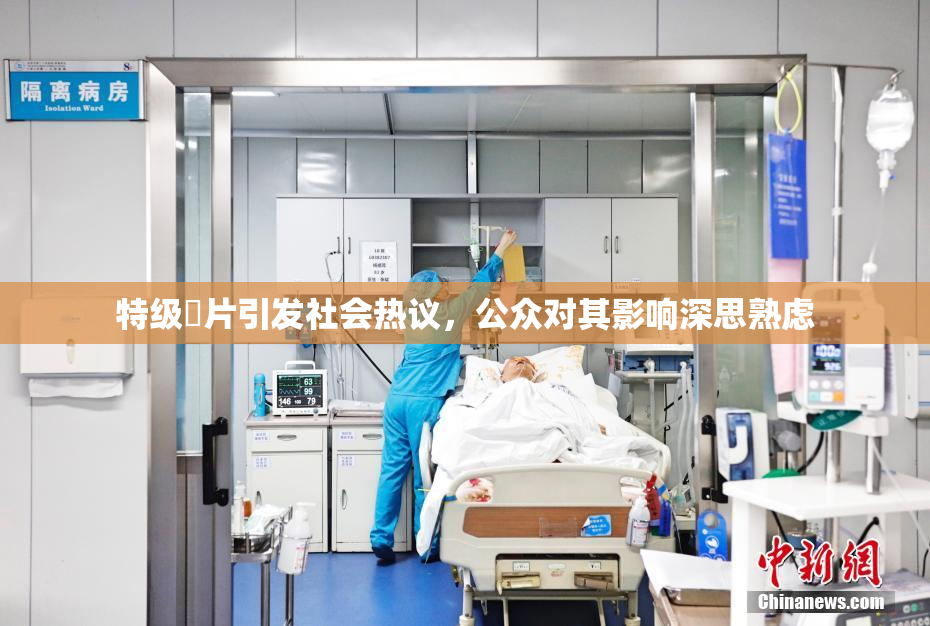 特级婬片引发社会热议，公众对其影响深思熟虑
