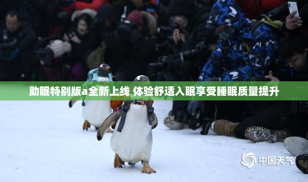 助眠特别版a全新上线 体验舒适入眠享受睡眠质量提升