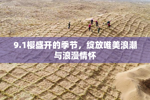 9.1樱盛开的季节，绽放唯美浪潮与浪漫情怀