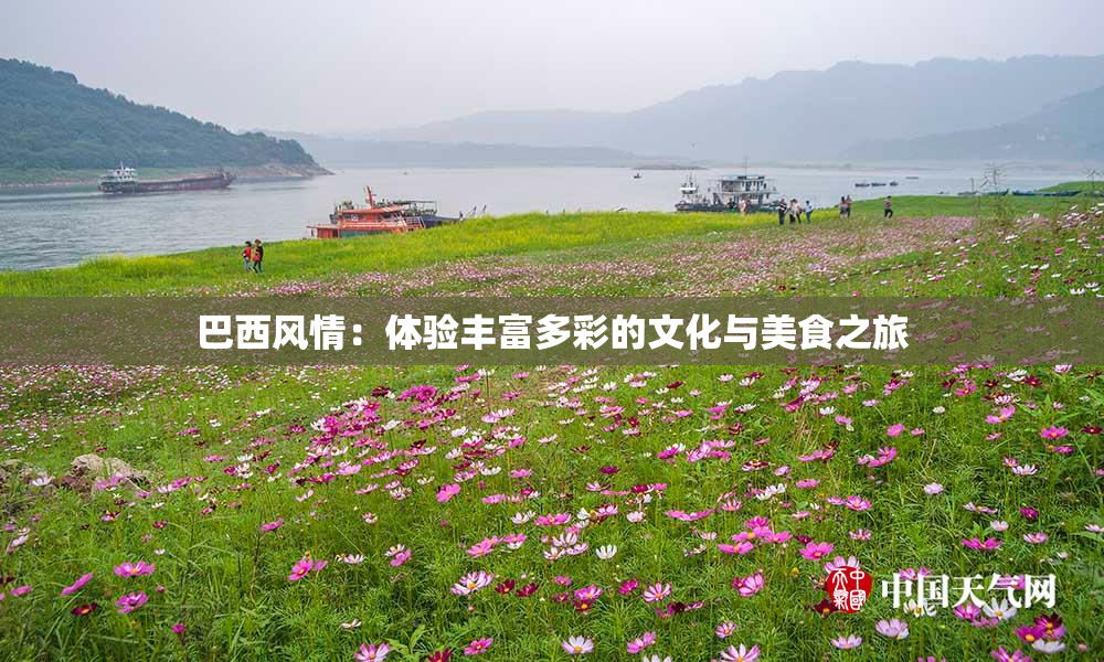 巴西风情：体验丰富多彩的文化与美食之旅