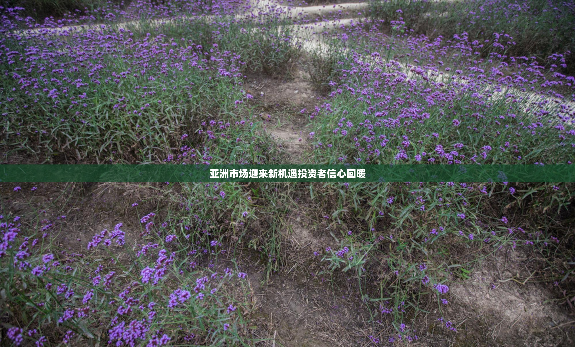 亚洲市场迎来新机遇投资者信心回暖