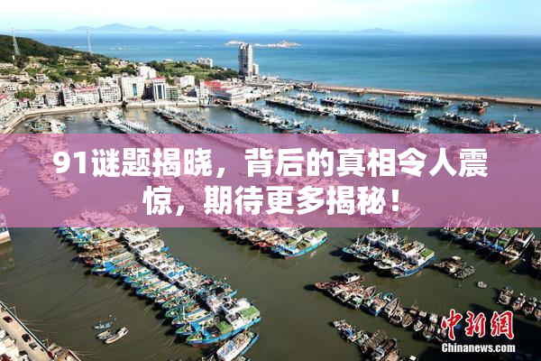 91谜题揭晓，背后的真相令人震惊，期待更多揭秘！