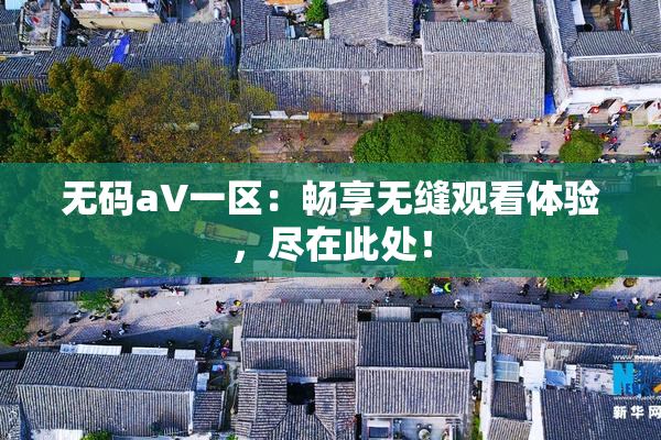 无码aV一区：畅享无缝观看体验，尽在此处！