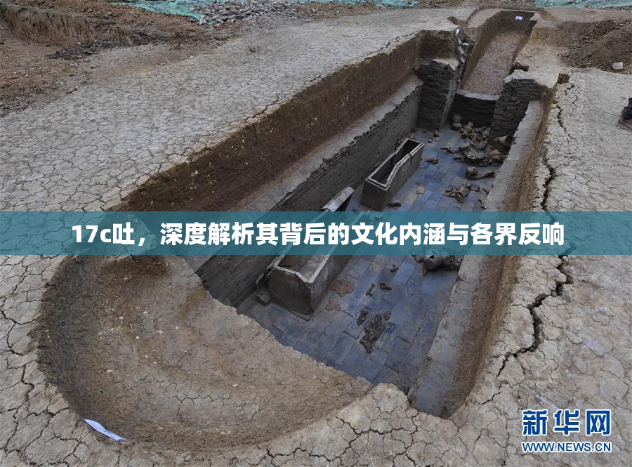 17c吐，深度解析其背后的文化内涵与各界反响