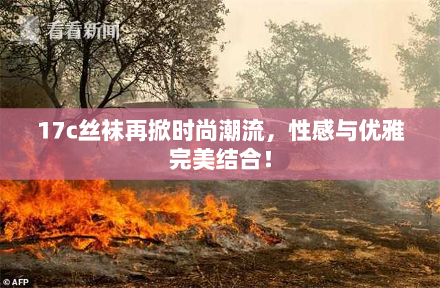 17c丝袜再掀时尚潮流，性感与优雅完美结合！