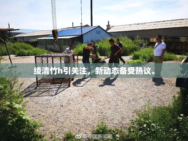 绫清竹h引关注，新动态备受热议。