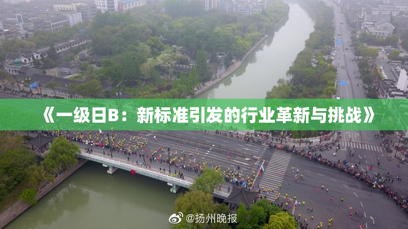 《一级日B：新标准引发的行业革新与挑战》