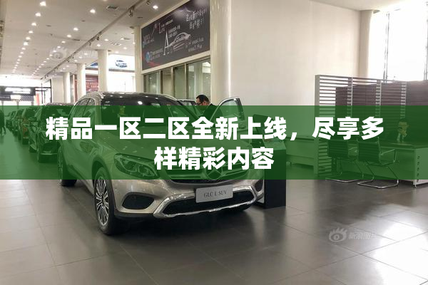精品一区二区全新上线，尽享多样精彩内容