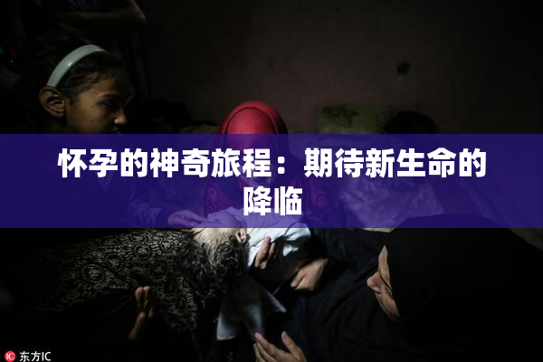 怀孕的神奇旅程：期待新生命的降临