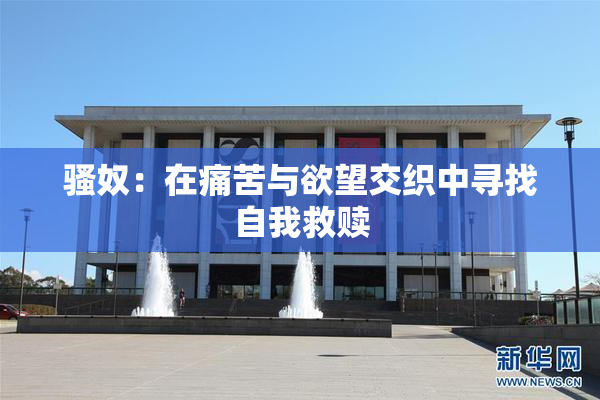 骚奴：在痛苦与欲望交织中寻找自我救赎
