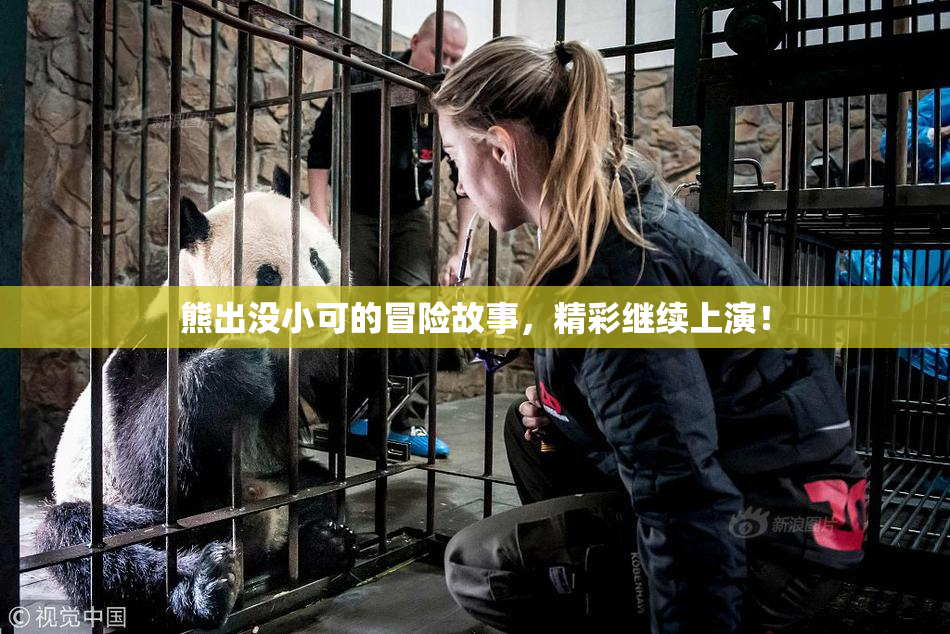 熊出没小可的冒险故事，精彩继续上演！