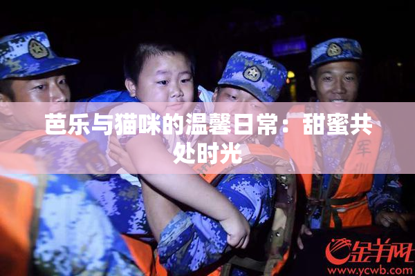 芭乐与猫咪的温馨日常：甜蜜共处时光