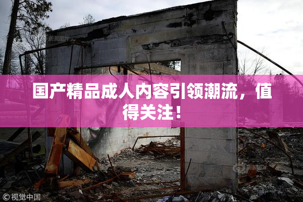 国产精品成人内容引领潮流，值得关注！