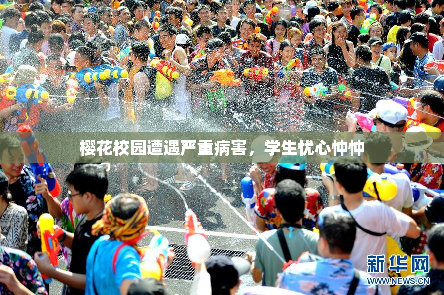 樱花校园遭遇严重病害，学生忧心忡忡