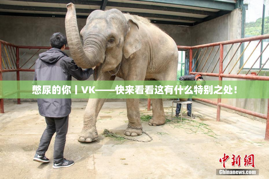 憋尿的你丨VK——快来看看这有什么特别之处！