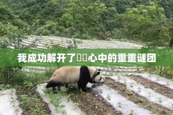 我成功解开了妺妺心中的重重谜团