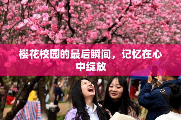 樱花校园的最后瞬间，记忆在心中绽放