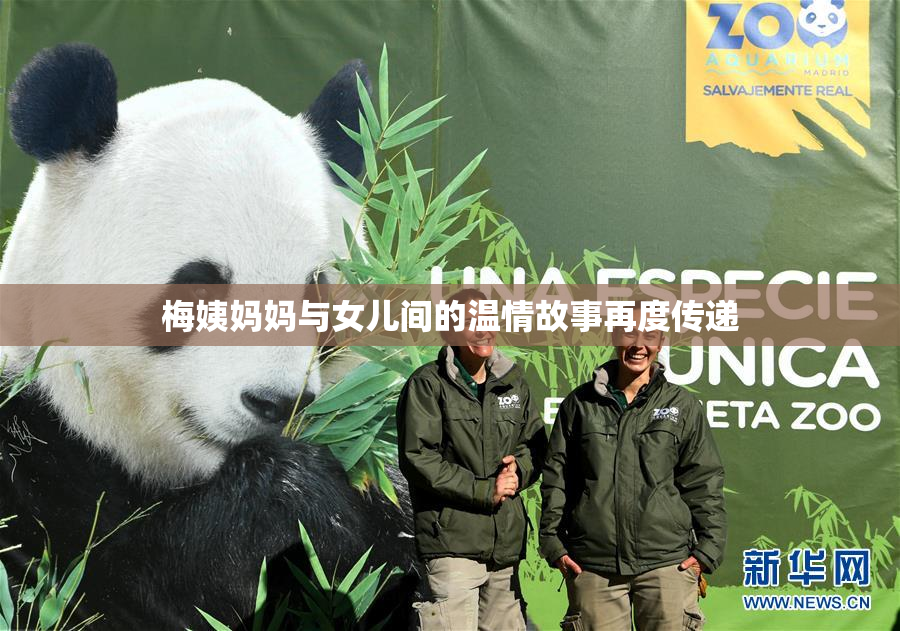 梅姨妈妈与女儿间的温情故事再度传递
