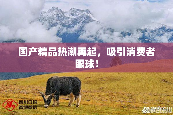 国产精品热潮再起，吸引消费者眼球！