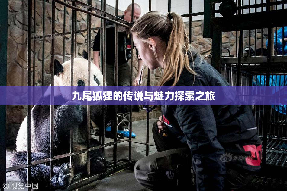 九尾狐狸的传说与魅力探索之旅