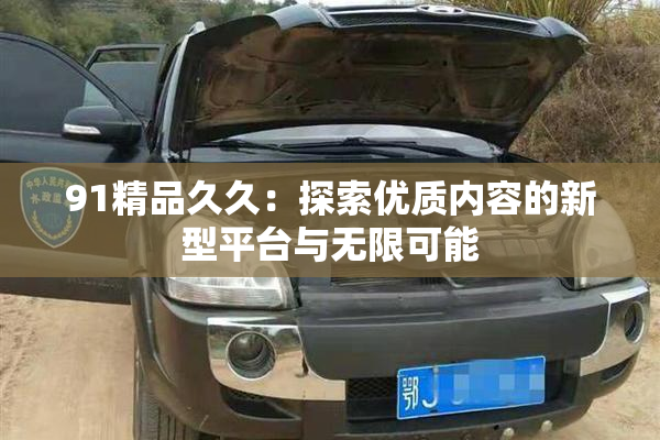 91精品久久：探索优质内容的新型平台与无限可能
