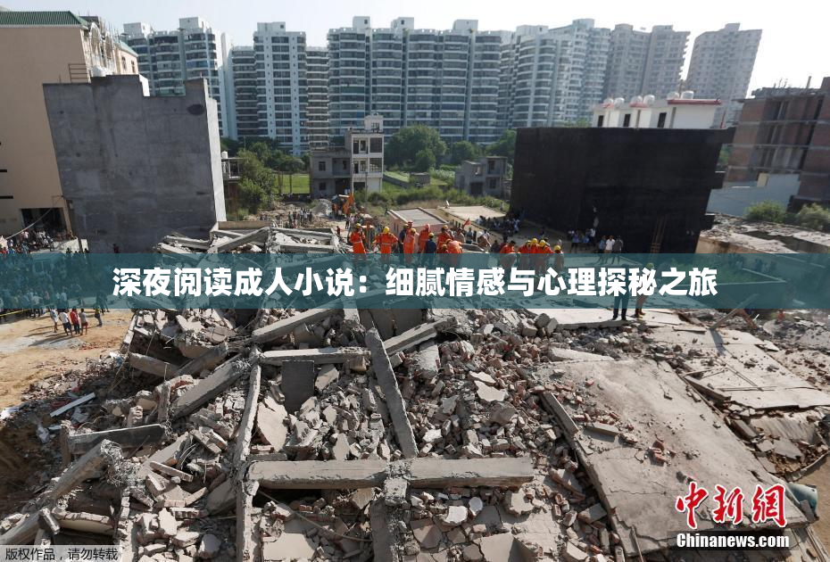 深夜阅读成人小说：细腻情感与心理探秘之旅