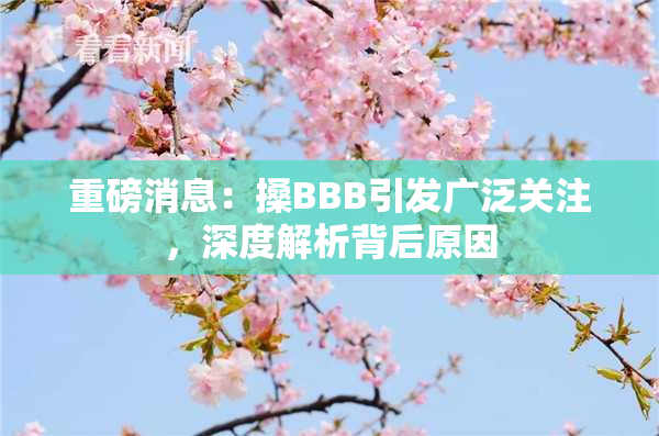 重磅消息：搡BBB引发广泛关注，深度解析背后原因